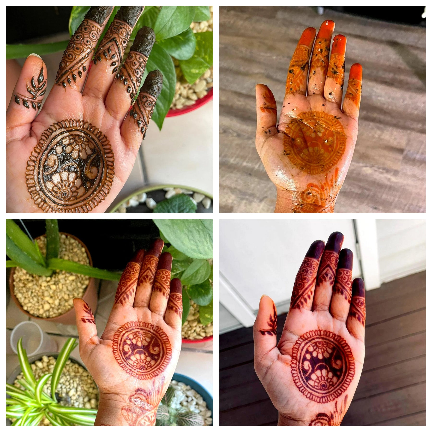 Organic Henna Cones with Teatree oil